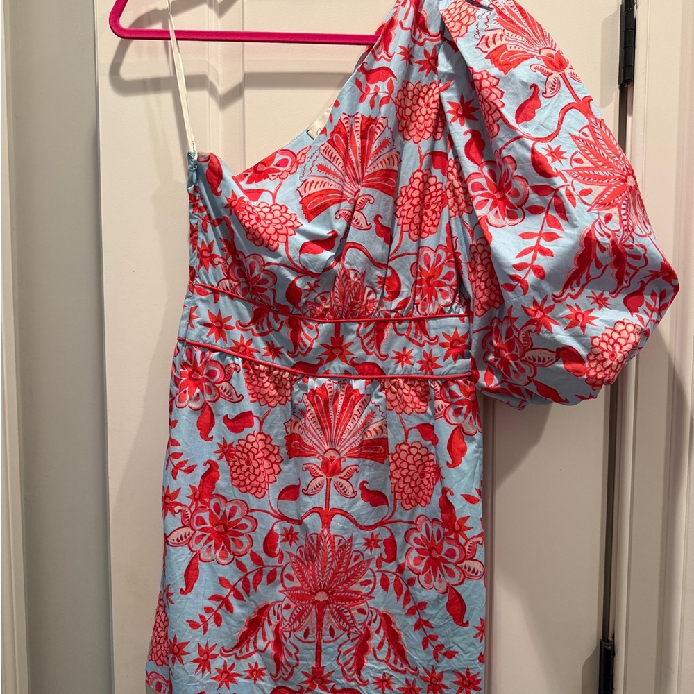 Cara Cara coral and baby Blue Floral Dress one shoulder with bubble sleeve